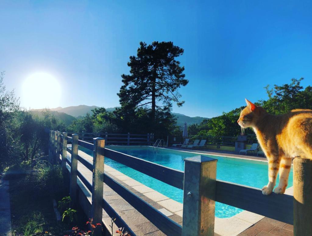 Agriturismo Il Pino San Martino in Freddana Exterior foto
